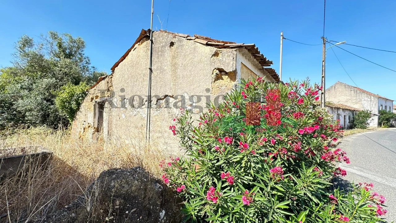 Moradia T4 para Venda em Arneiro das Milhariças Foto 18