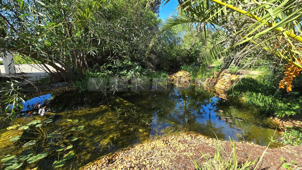 Moradia T4 para Venda em Lagoa e Carvoeiro Foto 67