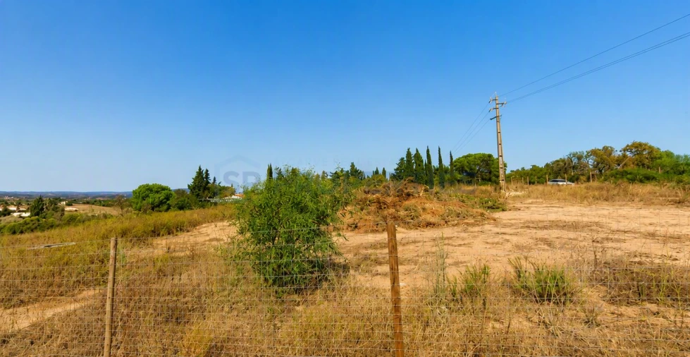Terreno para Venda em Luz Foto 3