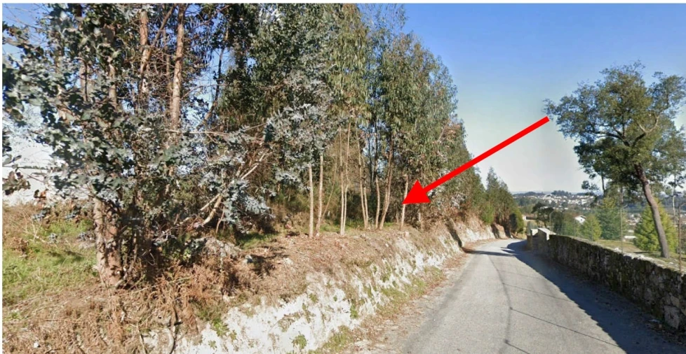 Terreno para Venda em Paredes Foto 4