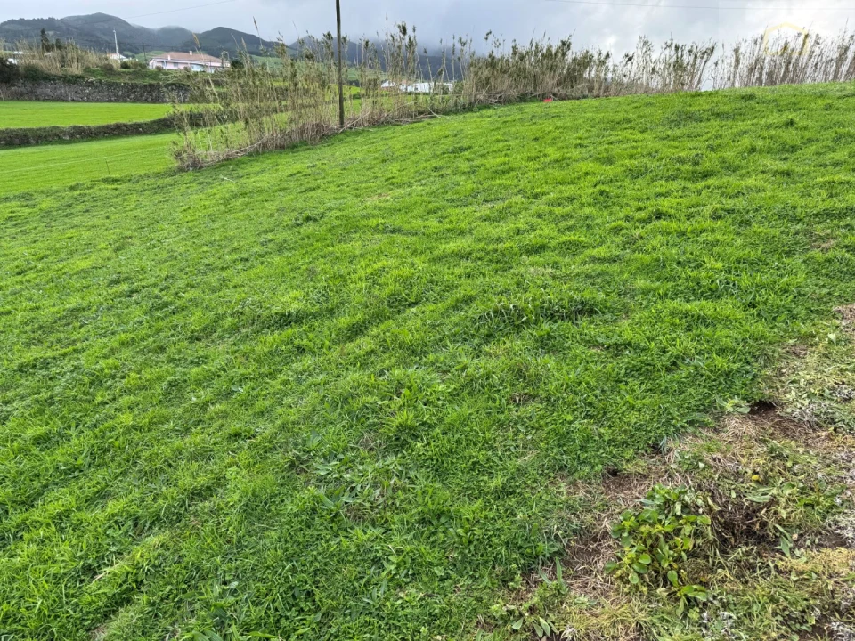 Terreno Agricola ou Rústico para Venda em Lomba da Fazenda Foto 4