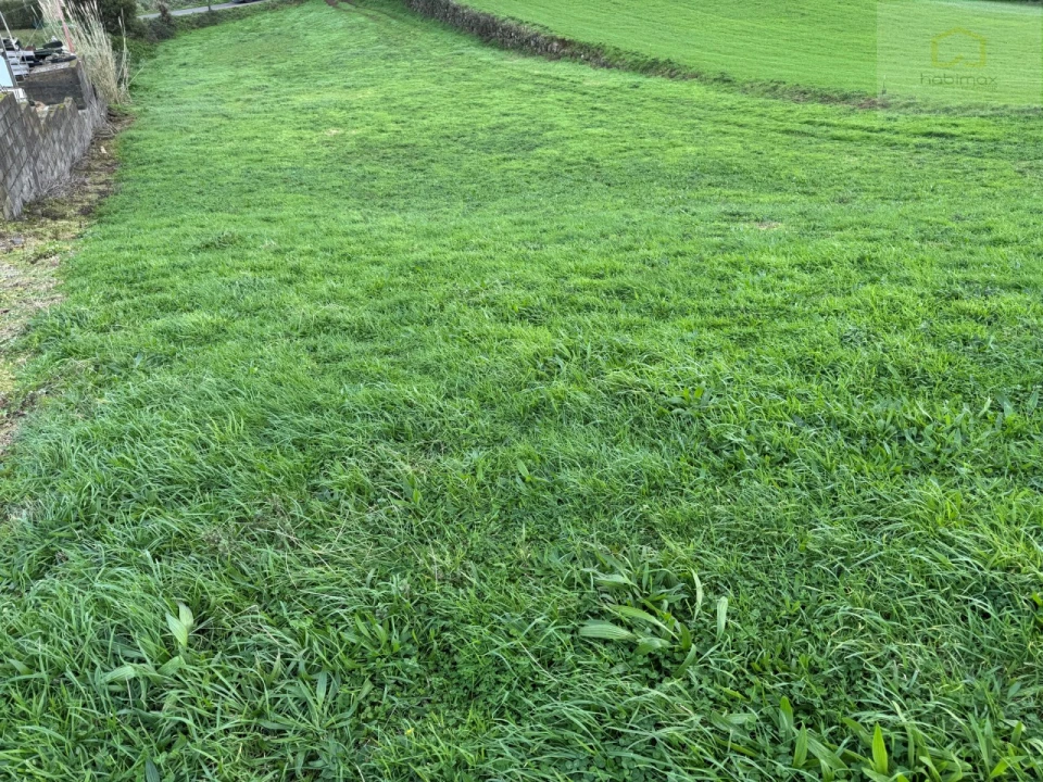 Terreno Agricola ou Rústico para Venda em Lomba da Fazenda Foto 5