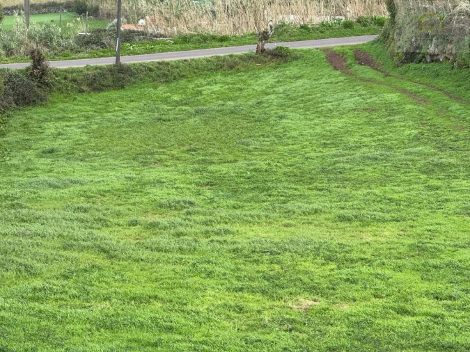 Terreno Agricola ou Rústico para Venda em Lomba da Fazenda Foto 8