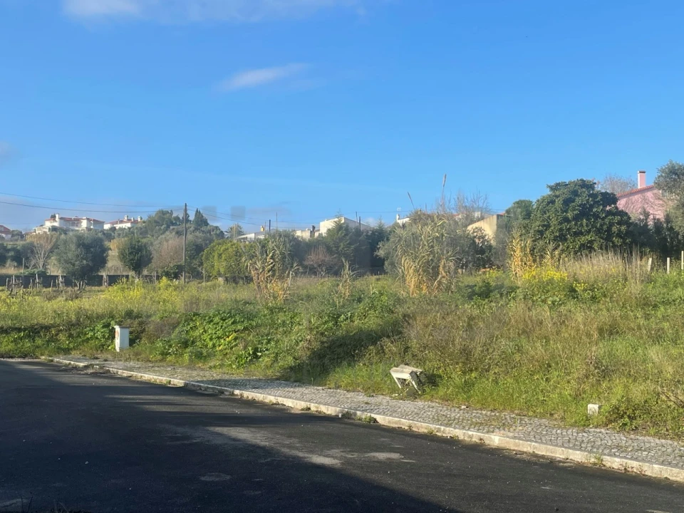 Terreno para Venda em São João Baptista e Santa Maria dos Olivais Foto 3