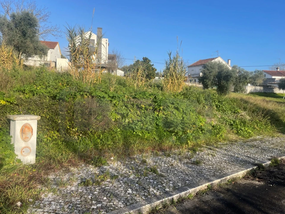 Terreno para Venda em São João Baptista e Santa Maria dos Olivais Foto 2