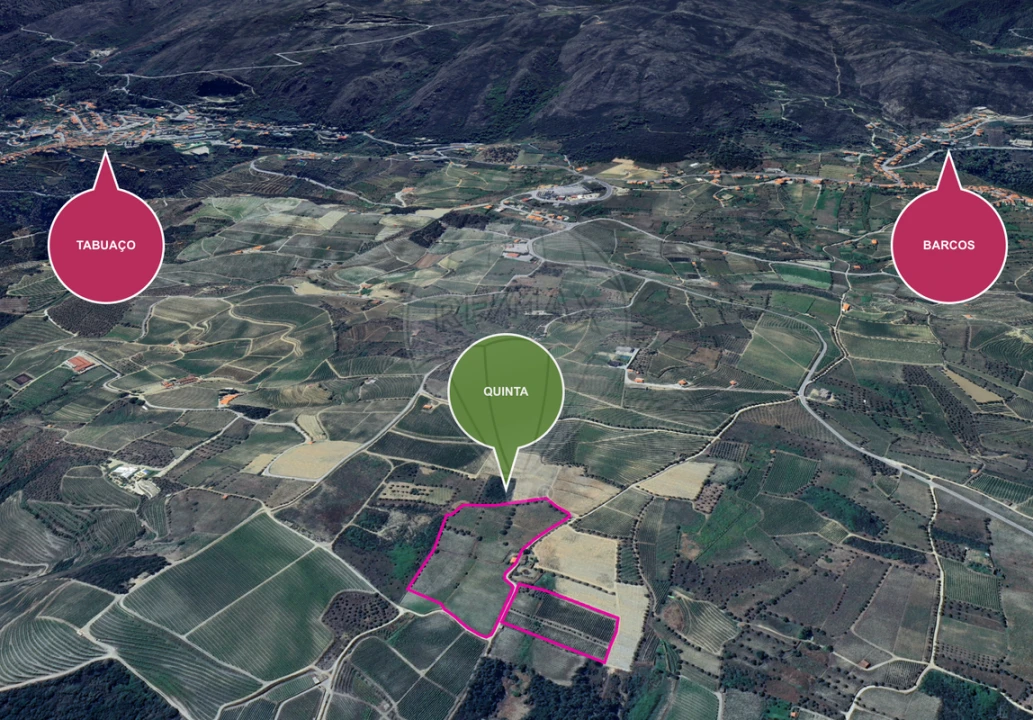 Quinta T0 para Venda em Barcos e Santa Leocádia Foto 25