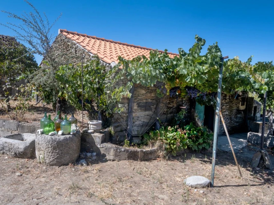 Quinta T0 para Venda em Barcos e Santa Leocádia Foto 20
