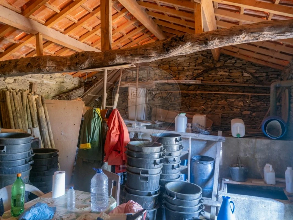 Quinta T0 para Venda em Barcos e Santa Leocádia Foto 18