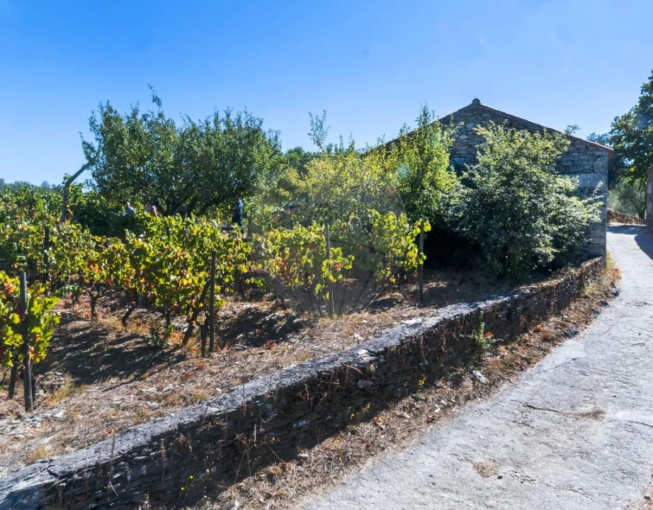 Quinta T0 para Venda em Barcos e Santa Leocádia Foto 13