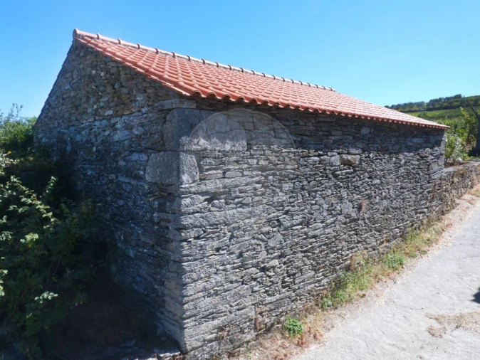Quinta T0 para Venda em Barcos e Santa Leocádia Foto 14