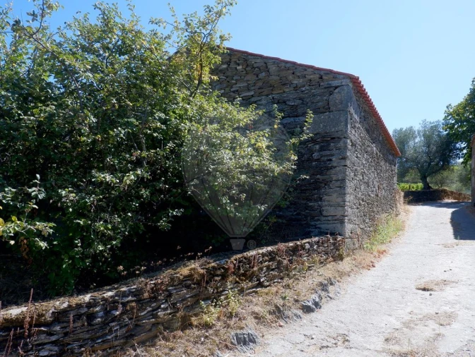 Quinta T0 para Venda em Barcos e Santa Leocádia Foto 12