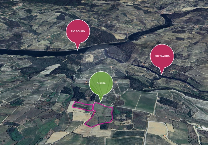 Quinta T0 para Venda em Barcos e Santa Leocádia Foto 24