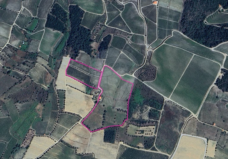 Quinta T0 para Venda em Barcos e Santa Leocádia Foto 23