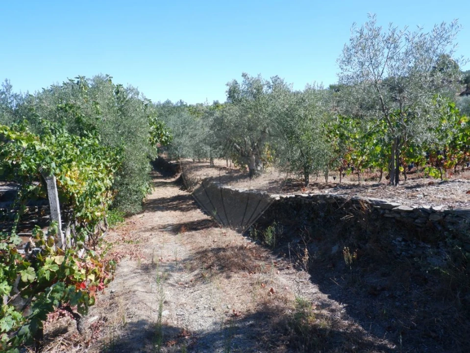 Quinta T0 para Venda em Barcos e Santa Leocádia Foto 7