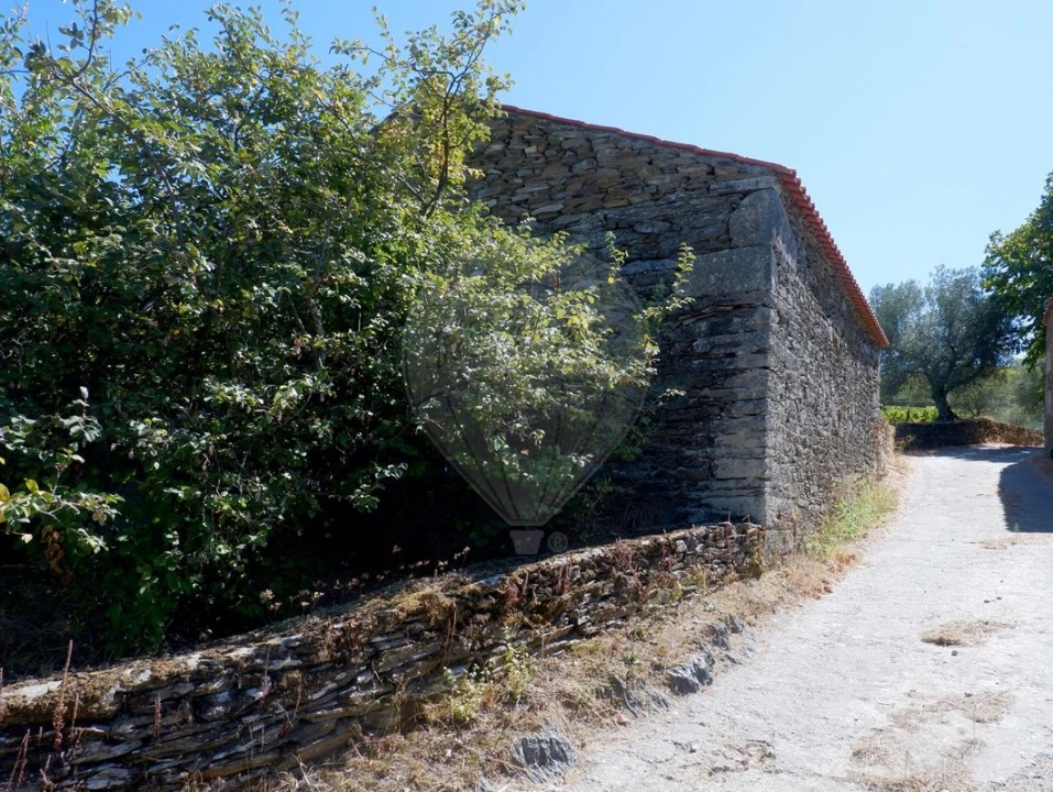 Quinta T0 para Venda em Barcos e Santa Leocádia Foto 12