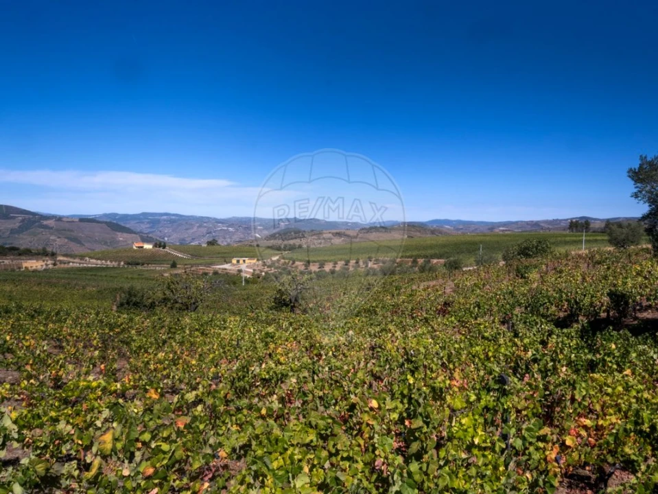Quinta T0 para Venda em Barcos e Santa Leocádia Foto 11