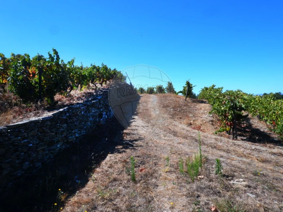 Quinta T0 para Venda em Barcos e Santa Leocádia Foto 21