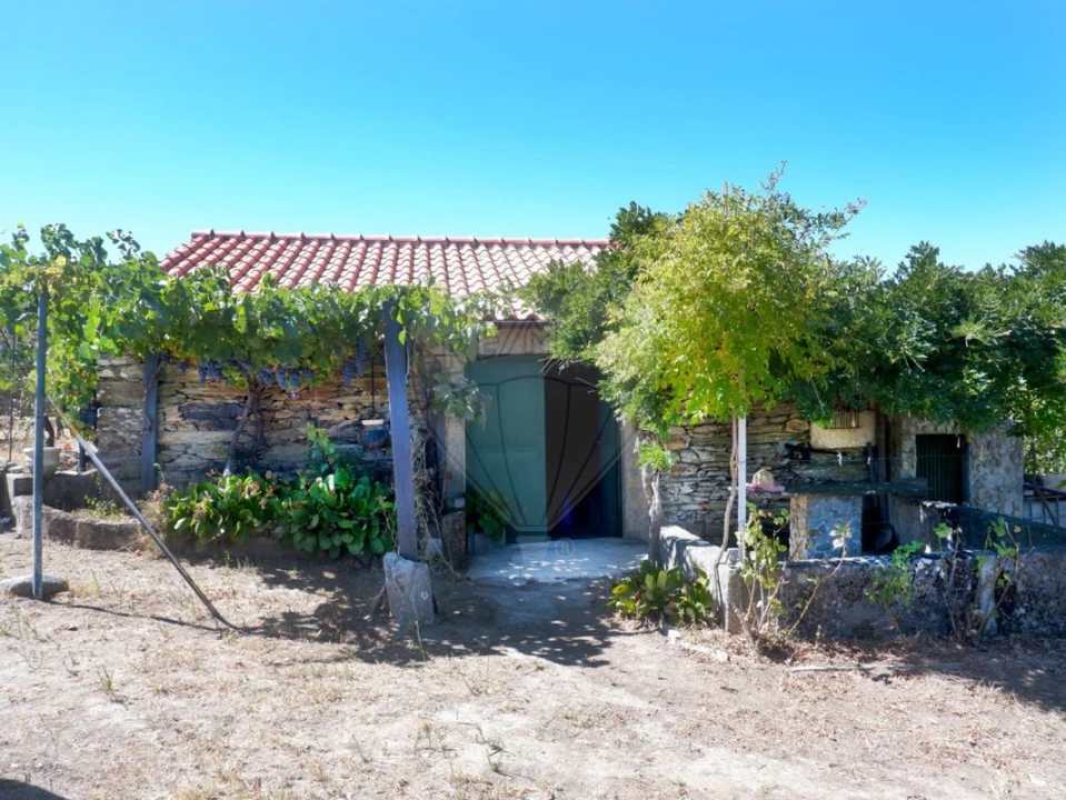 Quinta T0 para Venda em Barcos e Santa Leocádia Foto 3