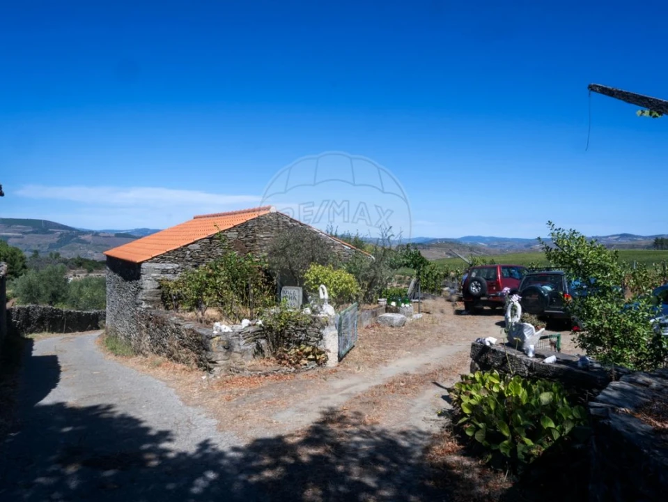 Quinta T0 para Venda em Barcos e Santa Leocádia Foto 2
