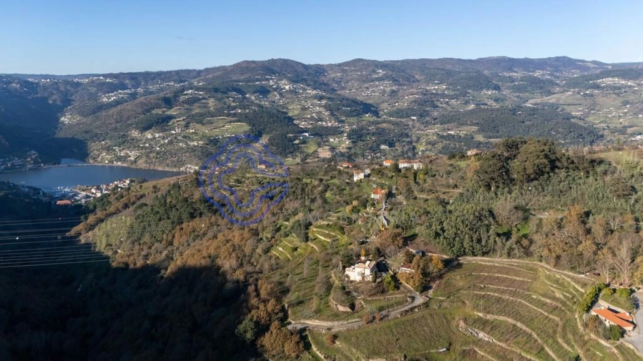 Quinta T3 para Venda em Anreade e São Romão de Aregos Foto 50