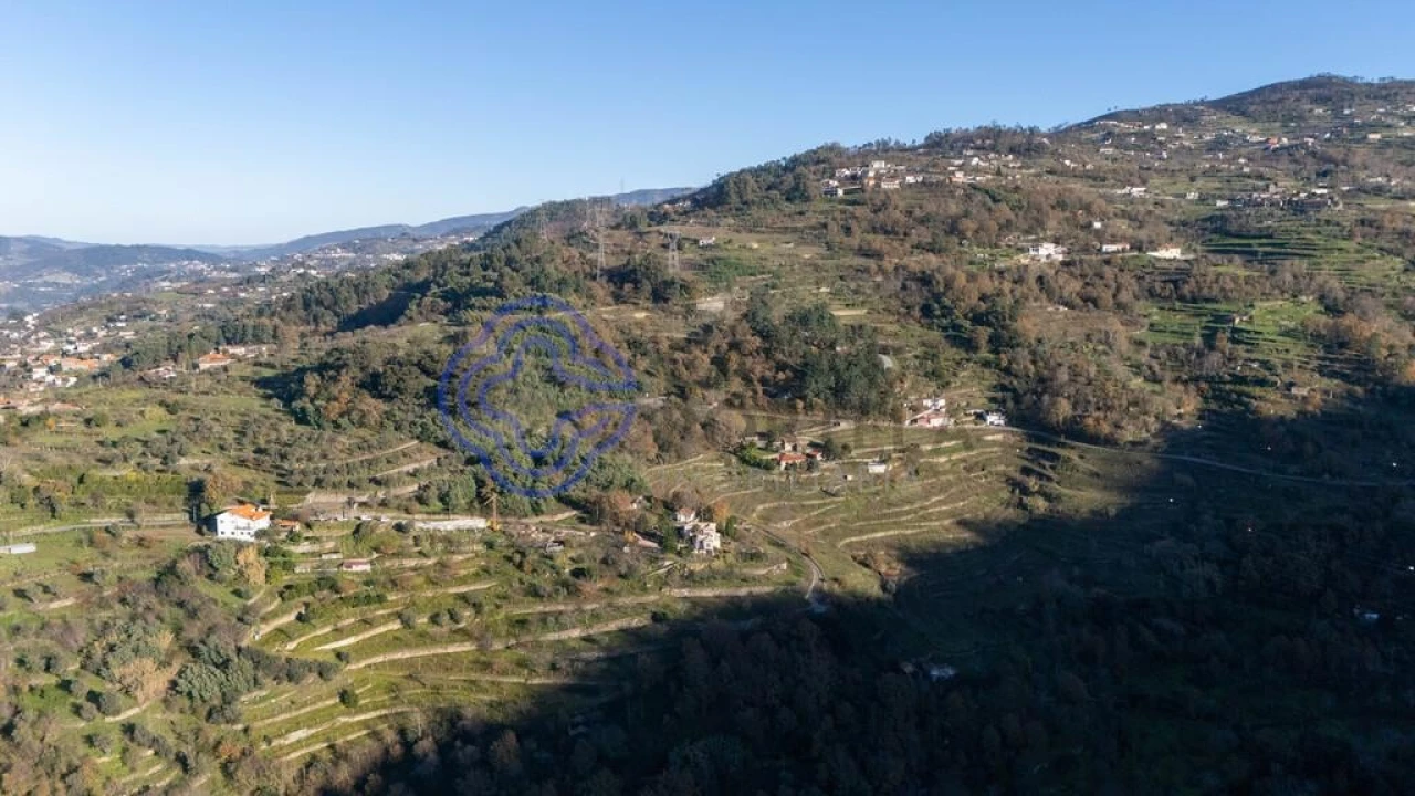 Quinta T3 para Venda em Anreade e São Romão de Aregos Foto 54