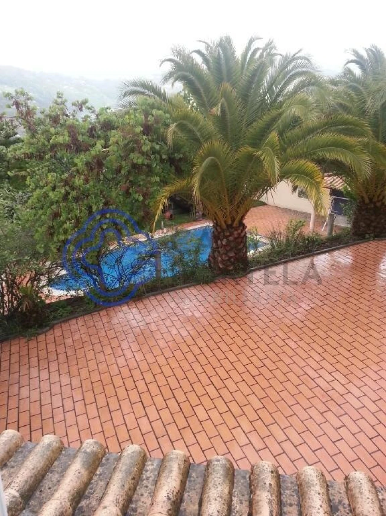 Quinta T3 para Venda em Anreade e São Romão de Aregos Foto 60