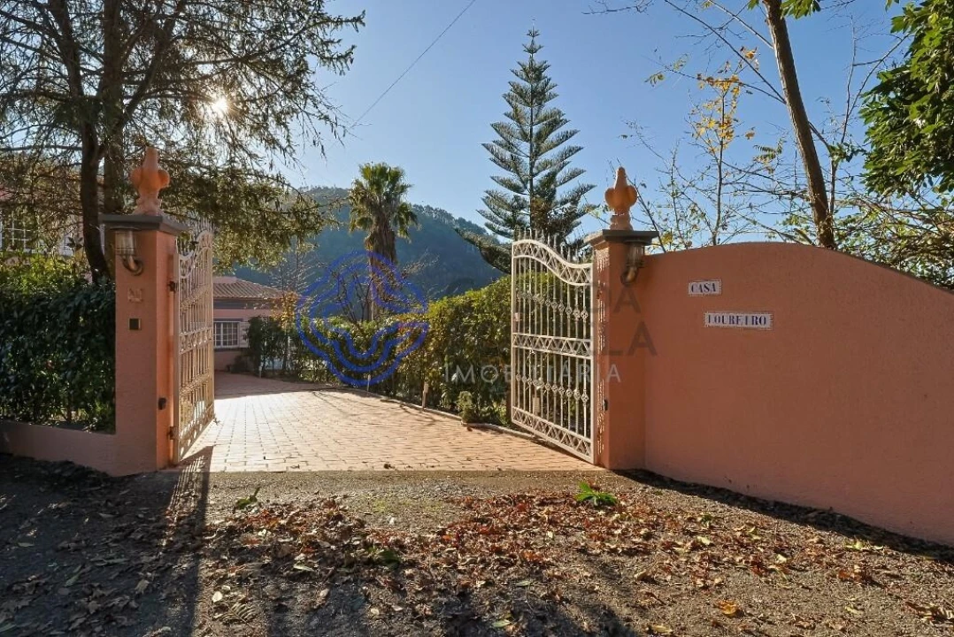 Quinta T3 para Venda em Anreade e São Romão de Aregos Foto 4