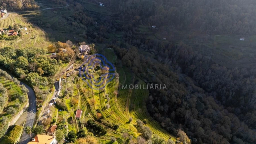 Quinta T3 para Venda em Anreade e São Romão de Aregos Foto 56