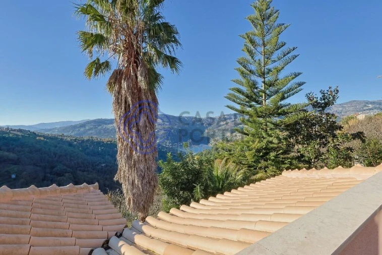 Quinta T3 para Venda em Anreade e São Romão de Aregos Foto 29