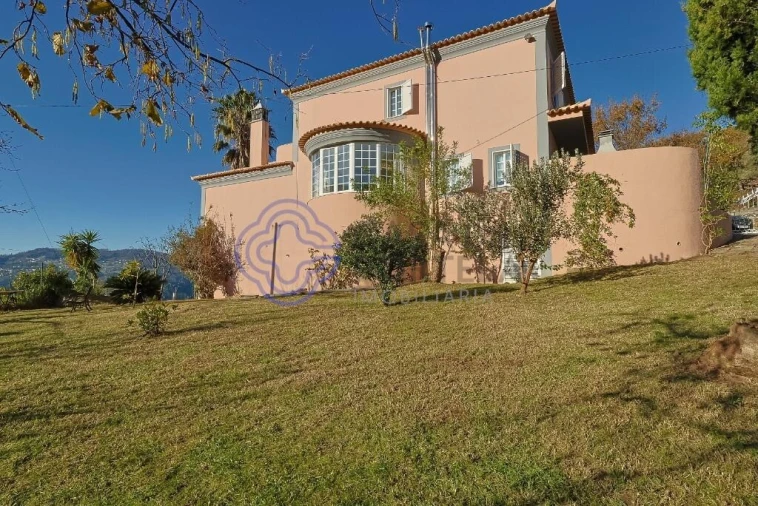 Quinta T3 para Venda em Anreade e São Romão de Aregos Foto 10