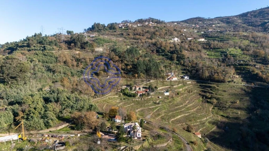 Quinta T3 para Venda em Anreade e São Romão de Aregos Foto 46