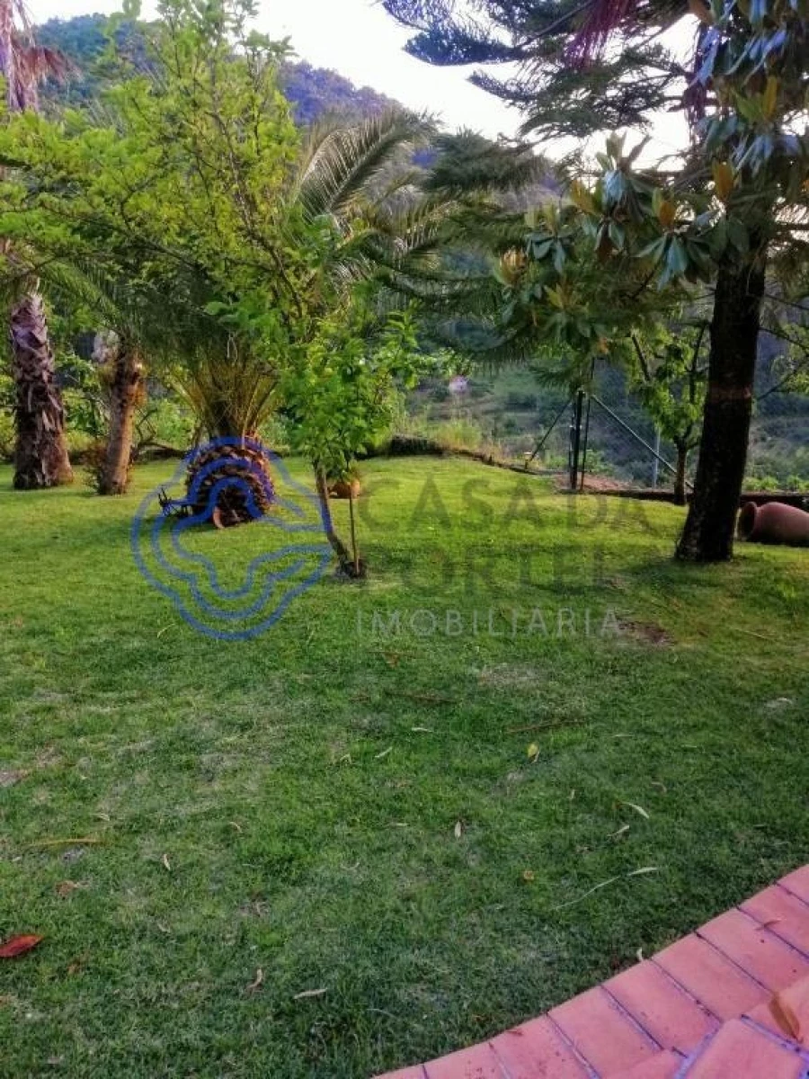 Quinta T3 para Venda em Anreade e São Romão de Aregos Foto 70