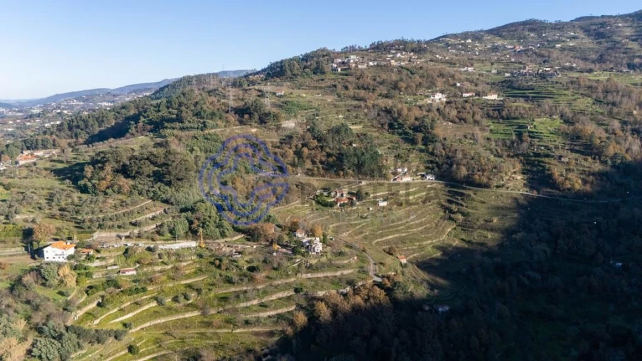 Quinta T3 para Venda em Anreade e São Romão de Aregos Foto 47