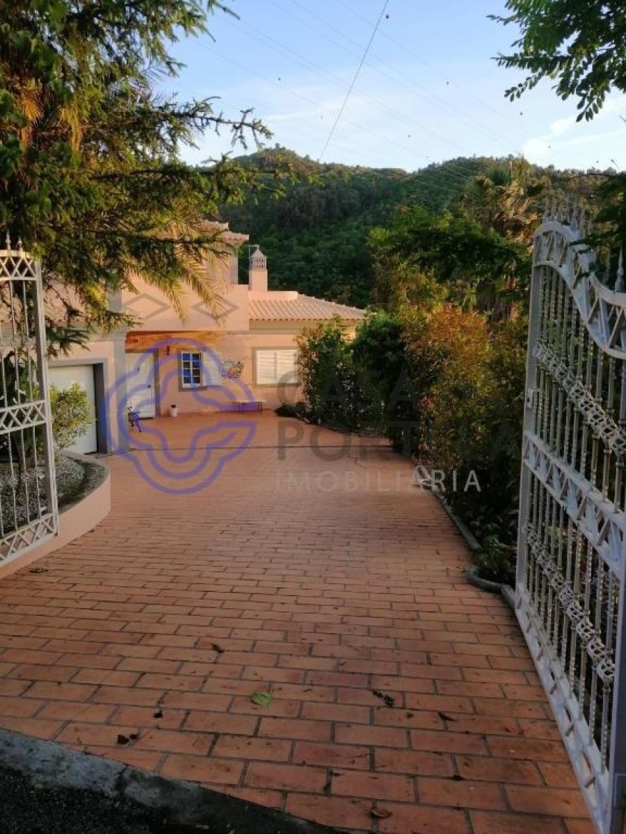 Quinta T3 para Venda em Anreade e São Romão de Aregos Foto 81