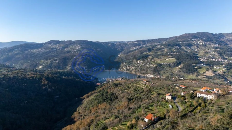 Quinta T3 para Venda em Anreade e São Romão de Aregos Foto 52