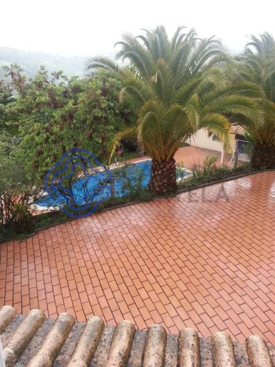 Quinta T3 para Venda em Anreade e São Romão de Aregos Foto 60