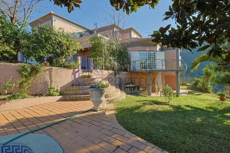 Quinta T3 para Venda em Anreade e São Romão de Aregos Foto 9