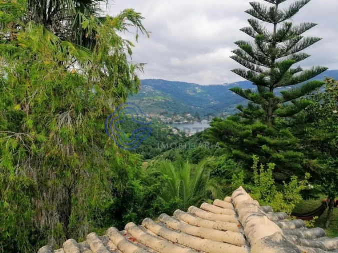 Quinta T3 para Venda em Anreade e São Romão de Aregos Foto 78