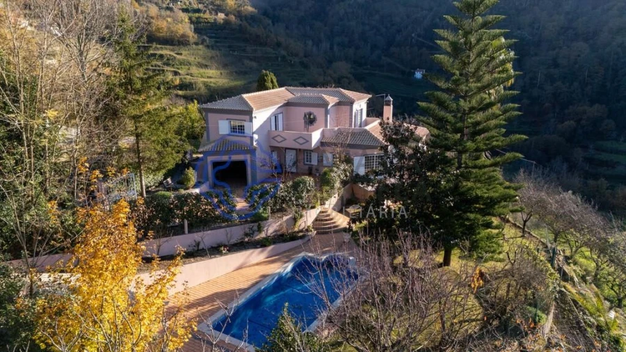 Quinta T3 para Venda em Anreade e São Romão de Aregos Foto 43