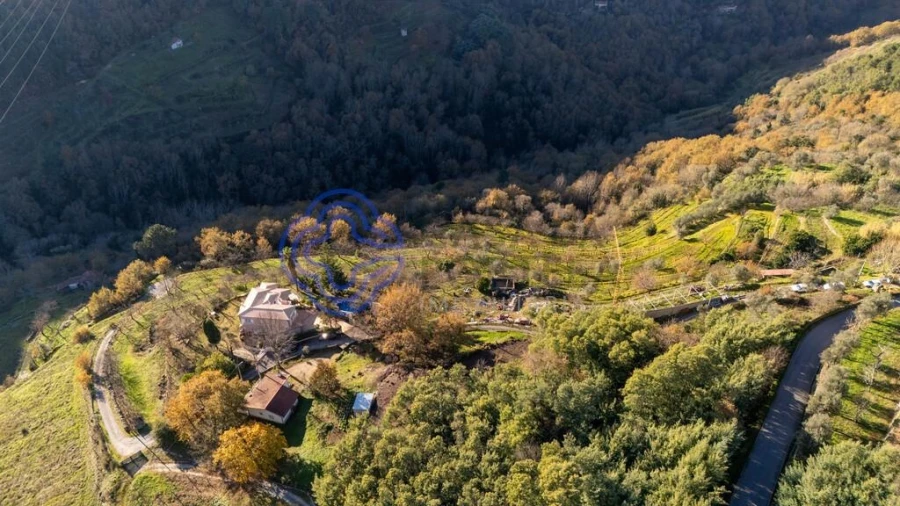 Quinta T3 para Venda em Anreade e São Romão de Aregos Foto 53