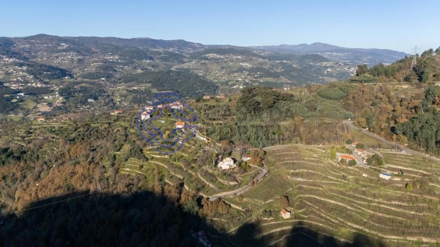 Quinta T3 para Venda em Anreade e São Romão de Aregos Foto 49