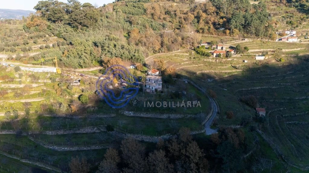 Quinta T3 para Venda em Anreade e São Romão de Aregos Foto 57