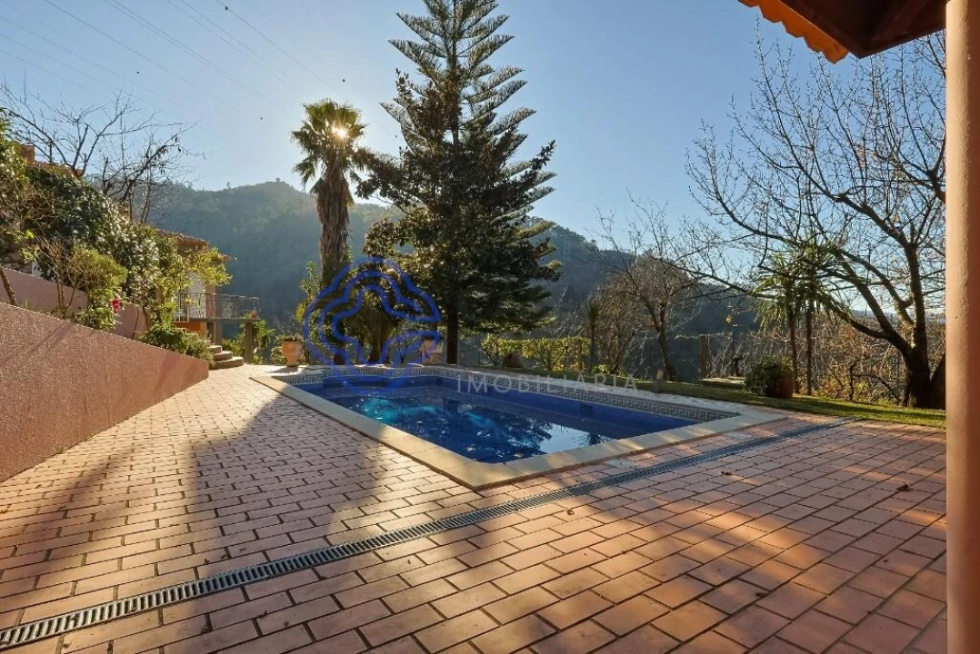 Quinta T3 para Venda em Anreade e São Romão de Aregos Foto 8