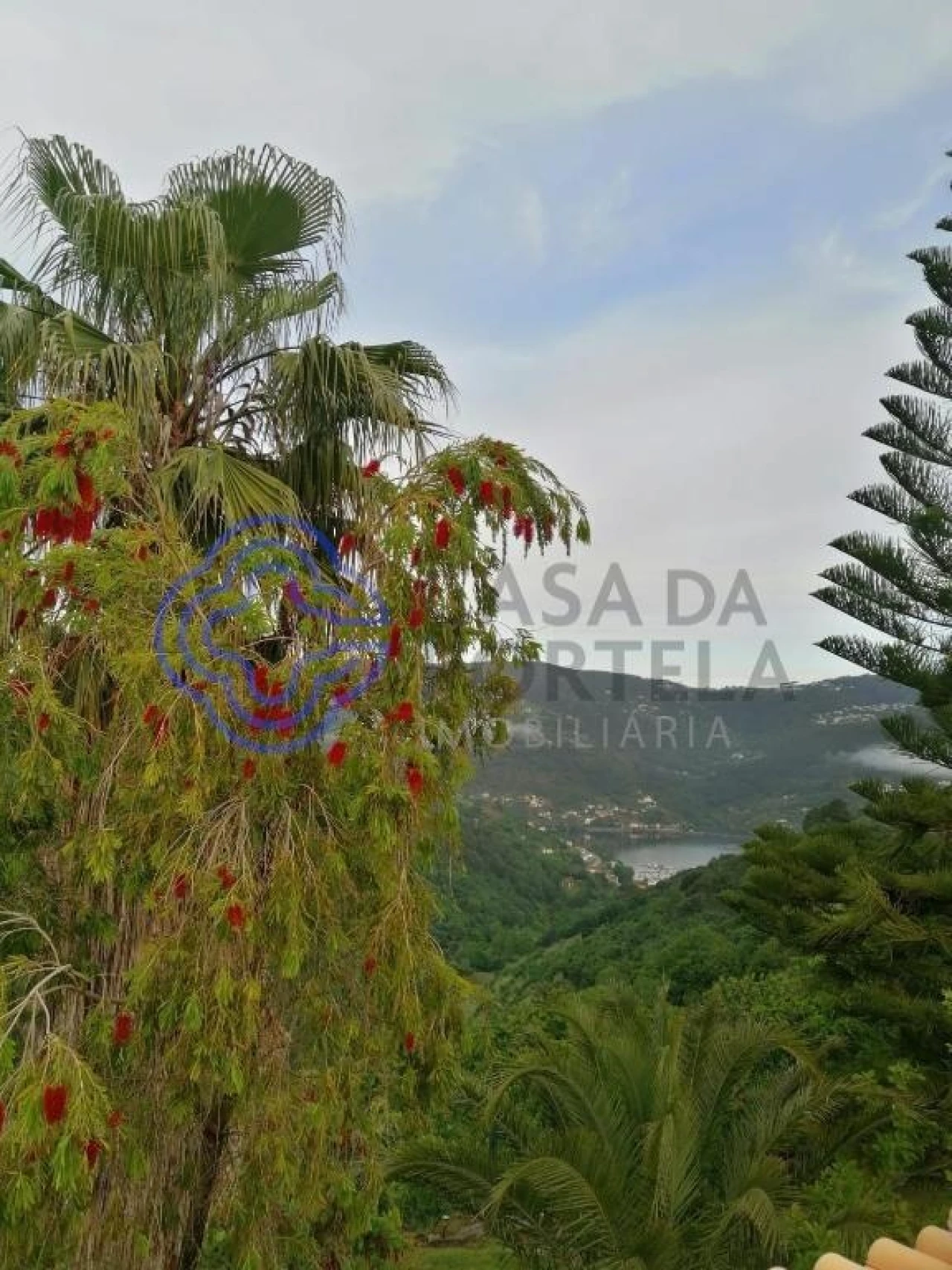 Quinta T3 para Venda em Anreade e São Romão de Aregos Foto 75