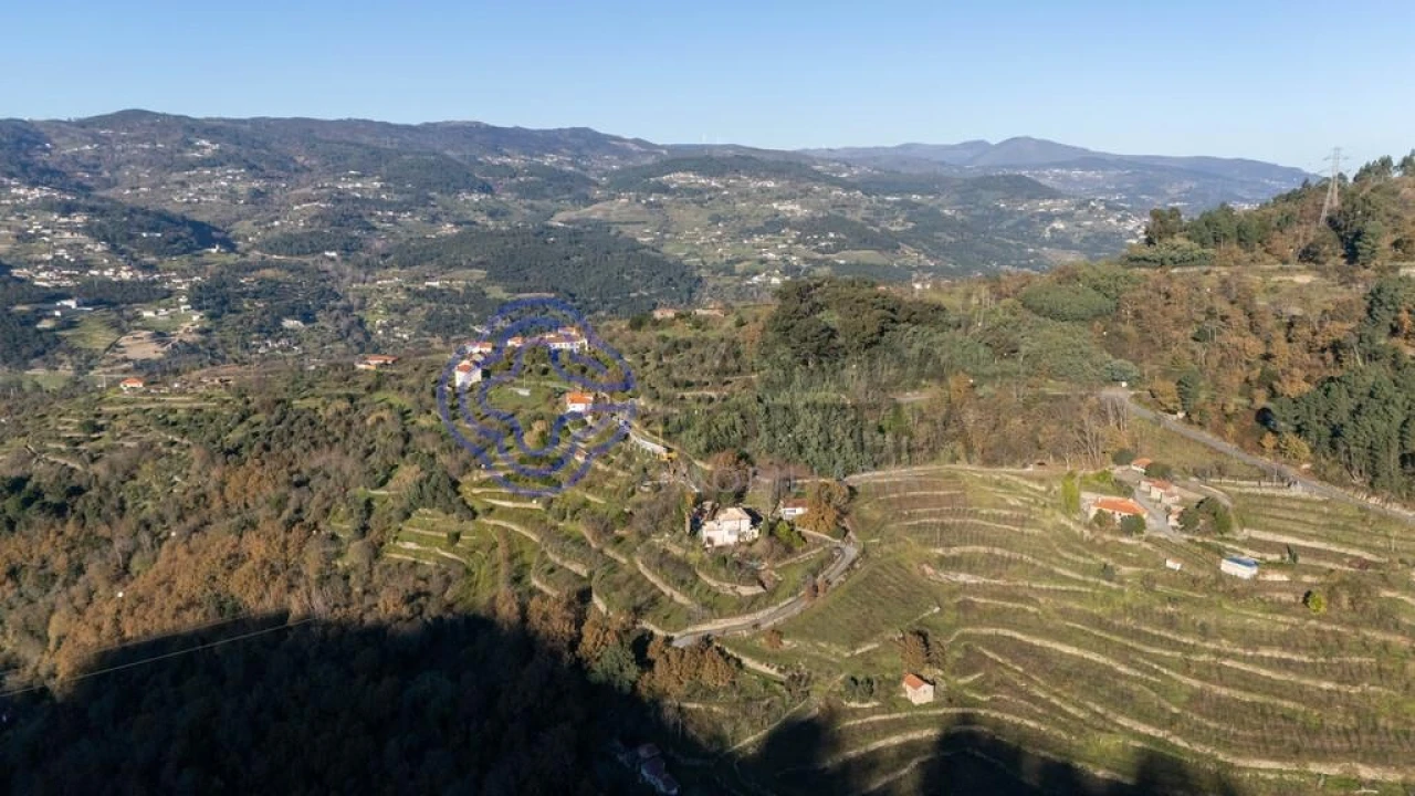 Quinta T3 para Venda em Anreade e São Romão de Aregos Foto 49