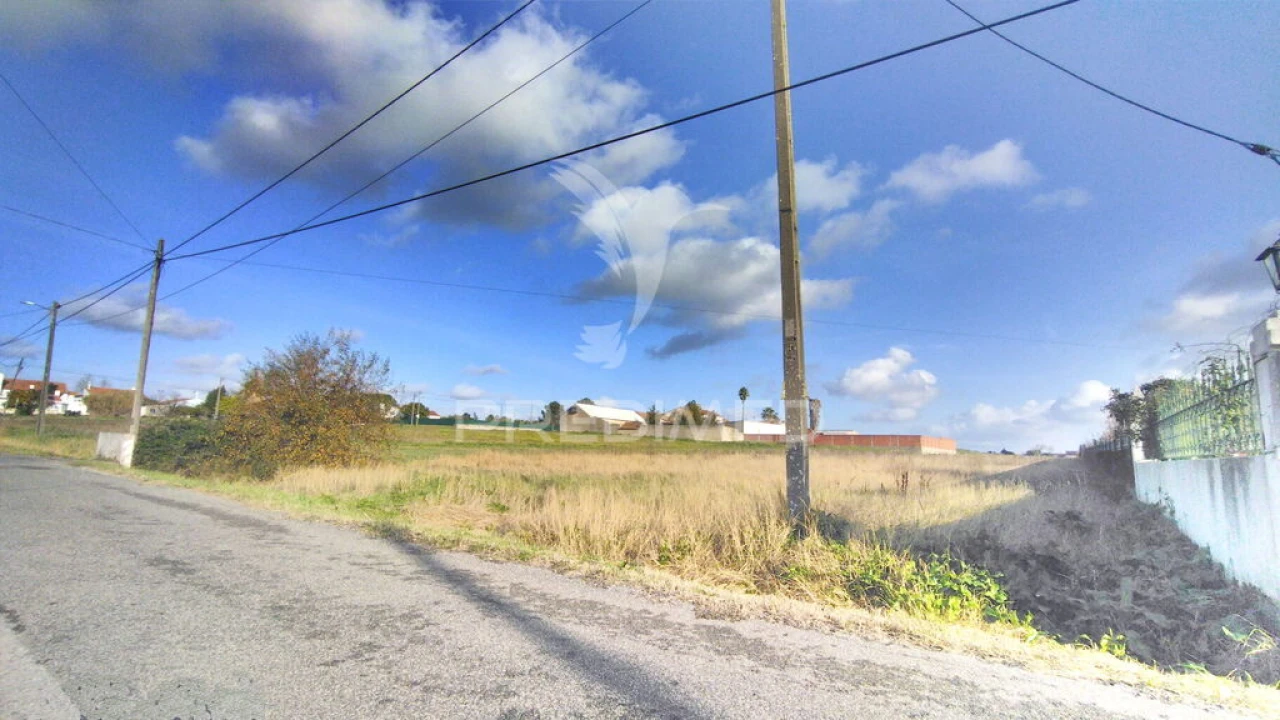 Terreno para Venda em Glória do Ribatejo e Granho Foto 8