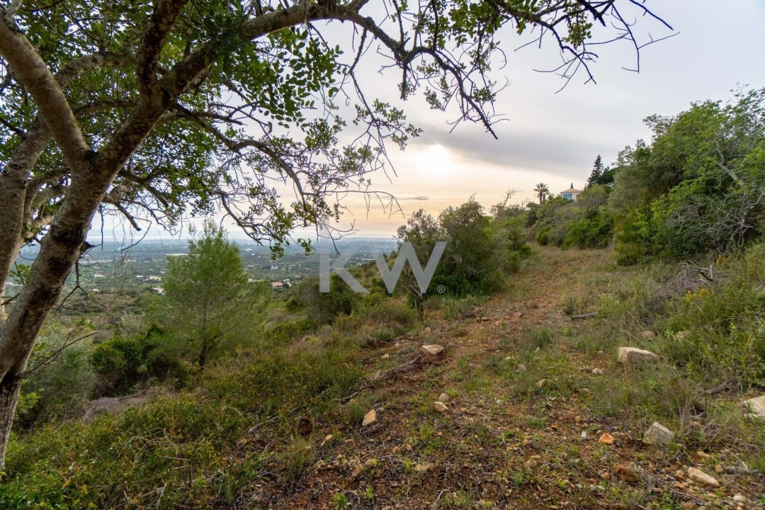 Terreno para Venda em Santa Barbara de Nexe Foto 33