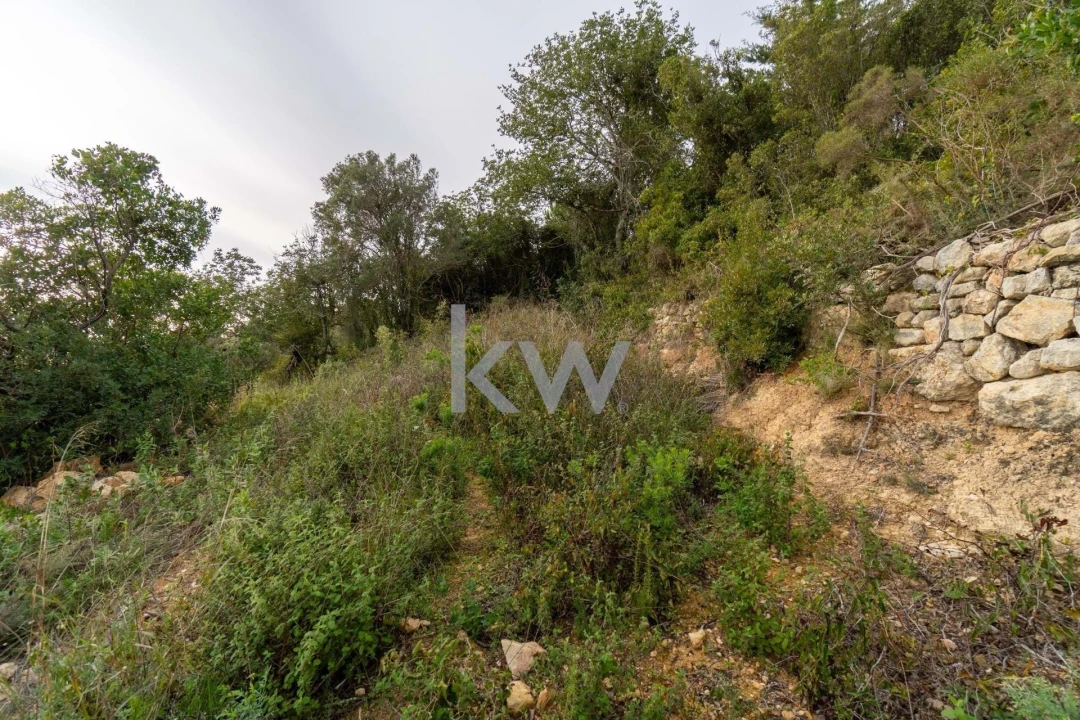 Terreno para Venda em Santa Barbara de Nexe Foto 37