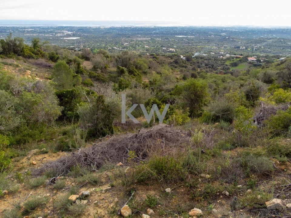 Terreno para Venda em Santa Barbara de Nexe Foto 1