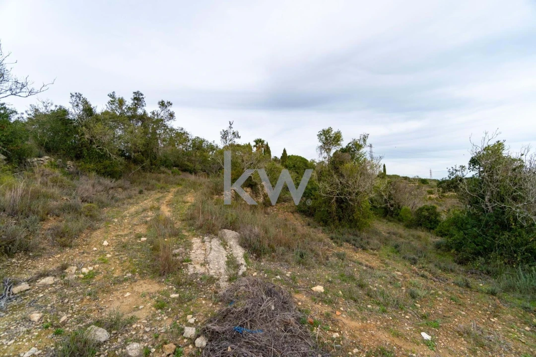 Terreno para Venda em Santa Barbara de Nexe Foto 25